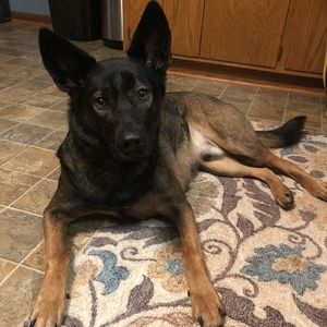 Meet your Posher, Marissa